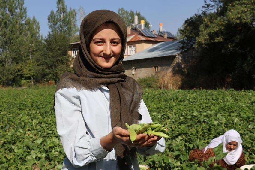 Van’ın eşsiz lezzeti ‘Gevaş fasulyesi’ tescillendi