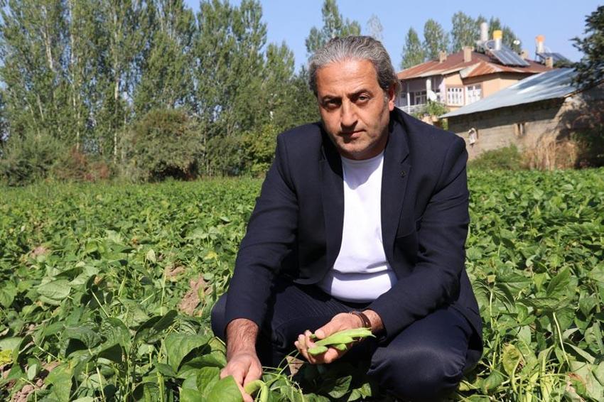 Van’ın eşsiz lezzeti ‘Gevaş fasulyesi’ tescillendi