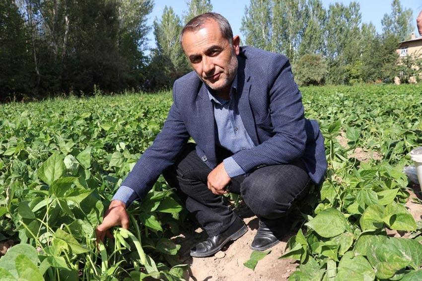 Van’ın eşsiz lezzeti ‘Gevaş fasulyesi’ tescillendi