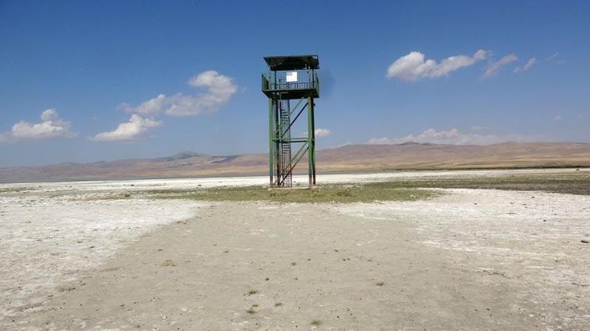 Kuraklık kuş cenneti Erçek Gölü’nün kıyı şeridini yok etti! 230 tür tehlike altında