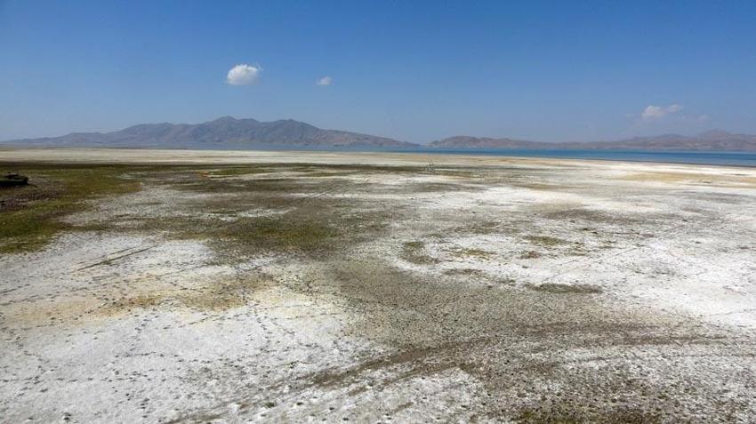 Kuraklık kuş cenneti Erçek Gölü’nün kıyı şeridini yok etti! 230 tür tehlike altında