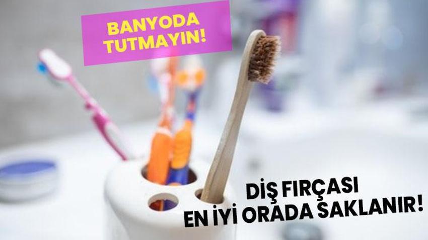 Diş fırçası en iyi orada saklanır! Diş hekimi açıkladı: Fırçayı banyoda tutmayın!