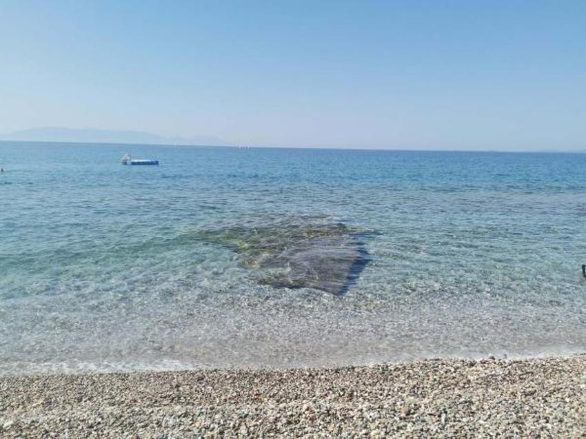 İzmir'de denizde kaya parçası tehlikesi! 'Şu an yüzde 79 engeli kaldım'