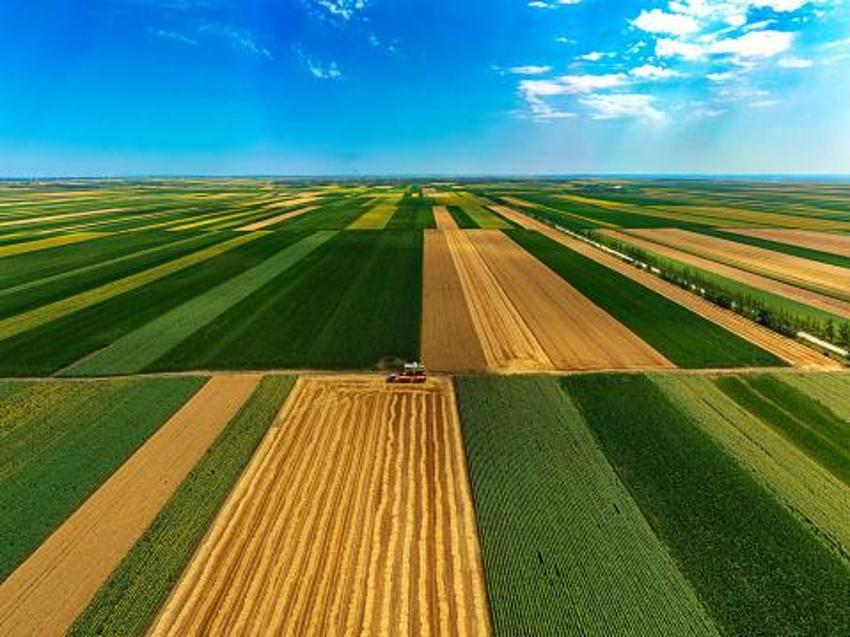 Paralar hesaplara yatırılacak! Miras kalan tarla, toprak, bağ ile ilgili yeni karar