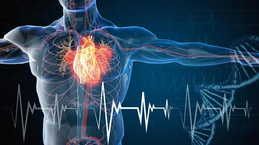 Ailesinde erken ölüm ve kalp krizi olanlar dikkat! Aort anevrizması ciddi komplikasyonlara yol açmadan önce belirti vermeyebiliyor