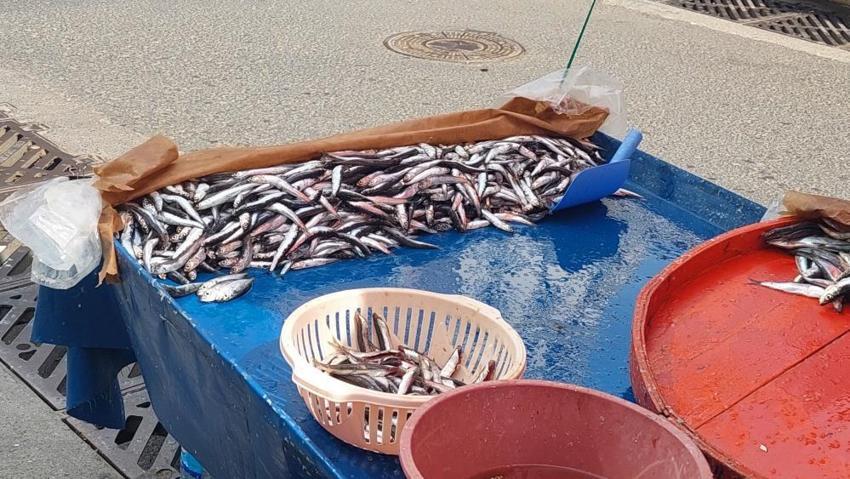 Balık fiyatları el yakıyor! Hamsi, palamut, istavrit... Kilosu 150 liradan başlıyor