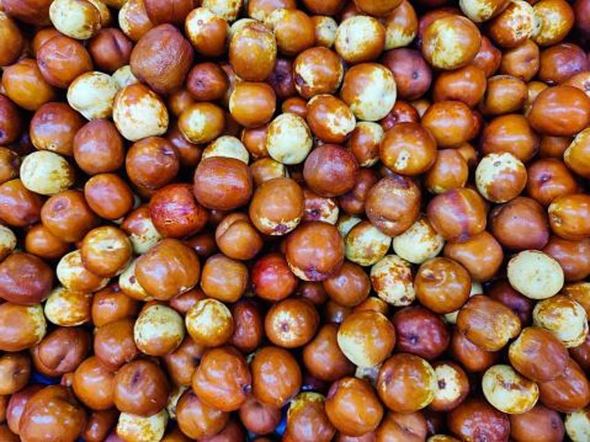Şifa kaynağı! 'Hünnap tüketen doktora gitmiyor'