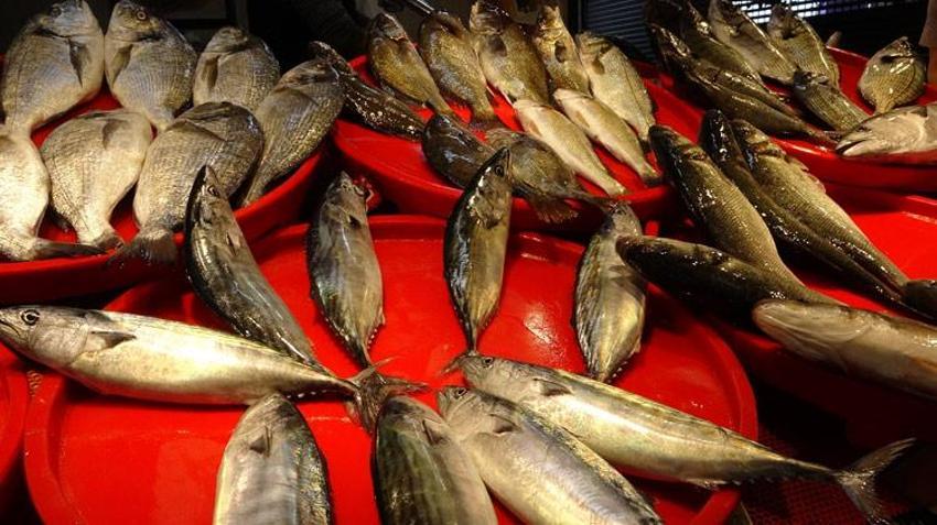 Sonunda tezgahlardaki yerini aldı! Tanesi 150 lira