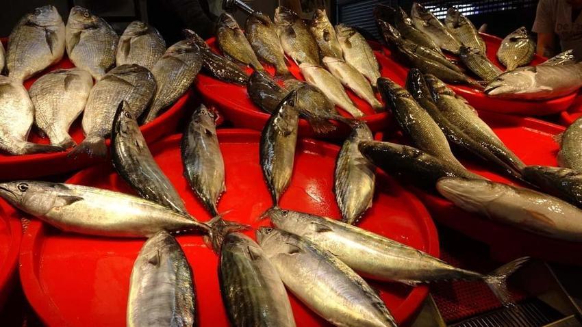 Sonunda tezgahlardaki yerini aldı! Tanesi 150 lira