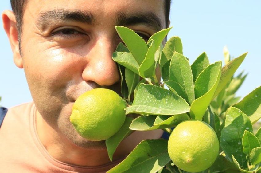 Ata toprağında rüzgar ve güneş enerjisi ile elektrikle üretiyor! Benzerlerinden 10 kat daha fazla pahalıya satılıyor