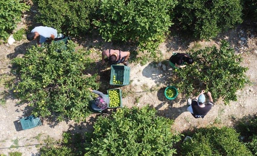 Ata toprağında rüzgar ve güneş enerjisi ile elektrikle üretiyor! Benzerlerinden 10 kat daha fazla pahalıya satılıyor
