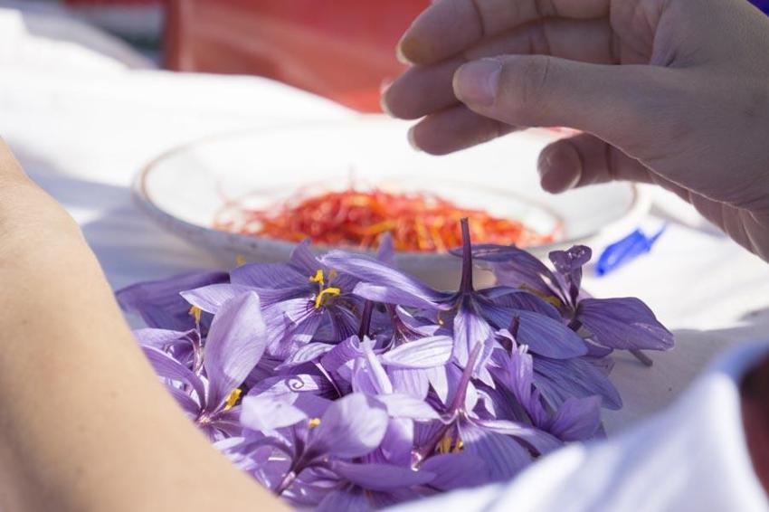 Libidoyu yükseltiyor, afrodizyak etkisi yapıyor! Kleopatra'nın sırrı bu besinde