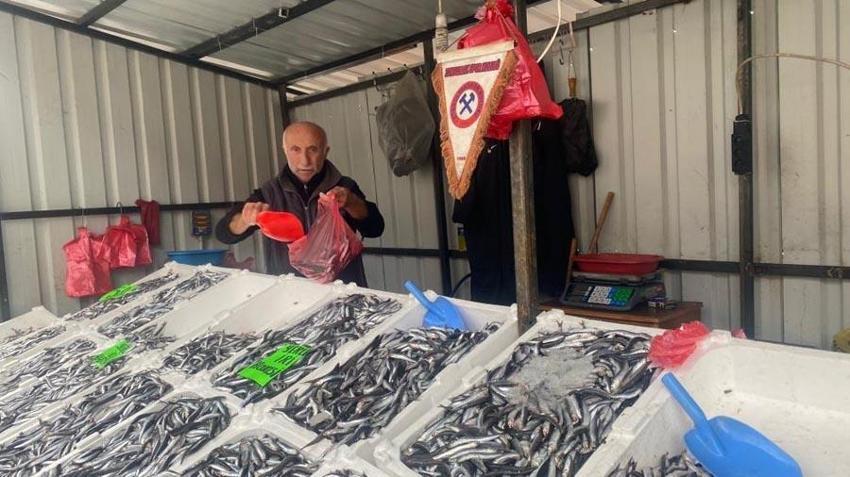Fiyatlar düşüşe geçti vatandaşlar akın etti! İşte tezgahların en ucuz balığı
