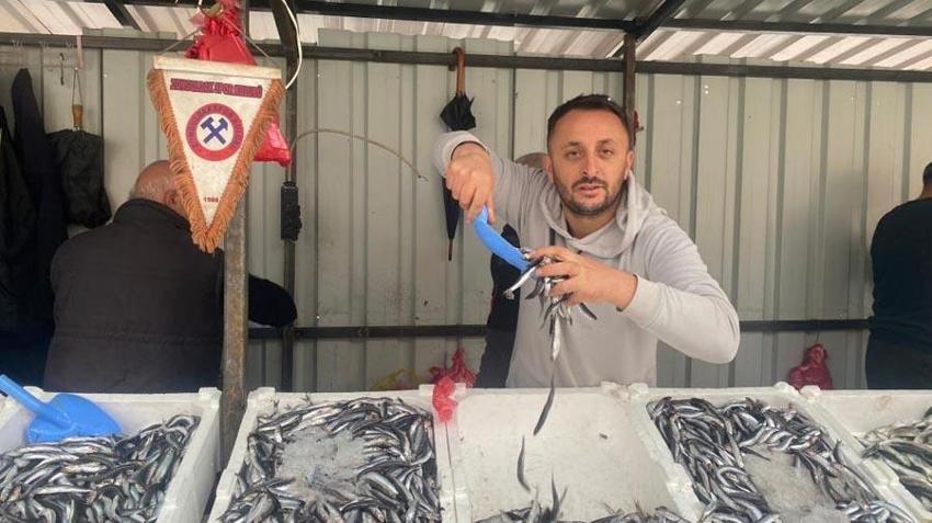 Fiyatlar düşüşe geçti vatandaşlar akın etti! İşte tezgahların en ucuz balığı