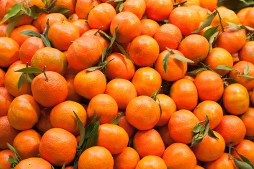 Mandalina kabuklarını sakın çöpe atmayın! Tam bir şifa deposu