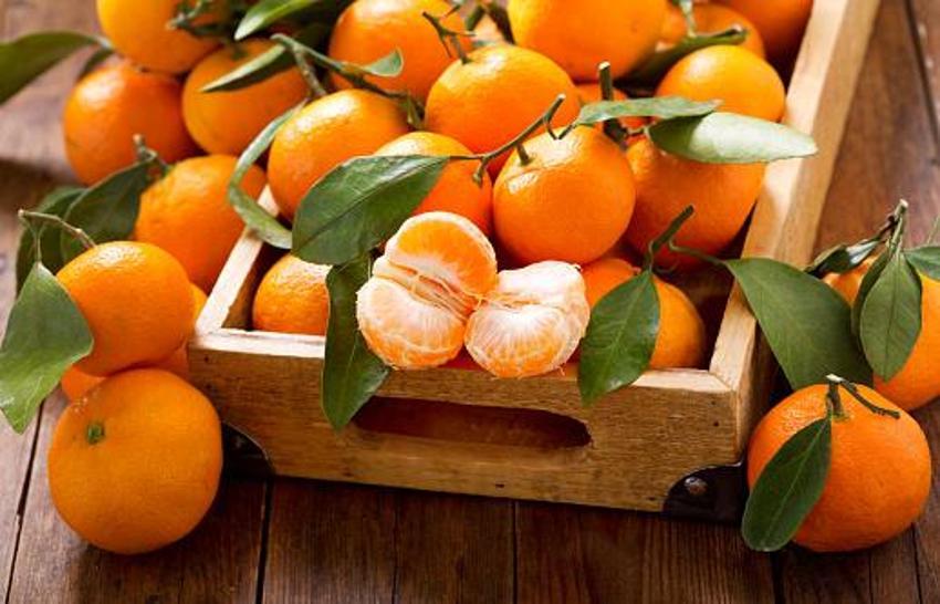 Mandalina kabuklarını sakın çöpe atmayın! Tam bir şifa deposu