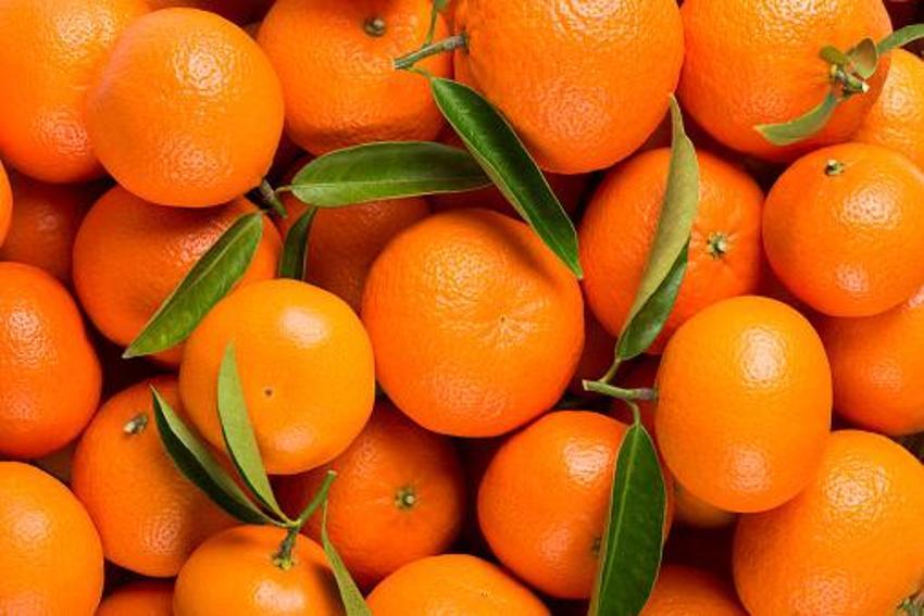 Mandalina kabuklarını sakın çöpe atmayın! Tam bir şifa deposu