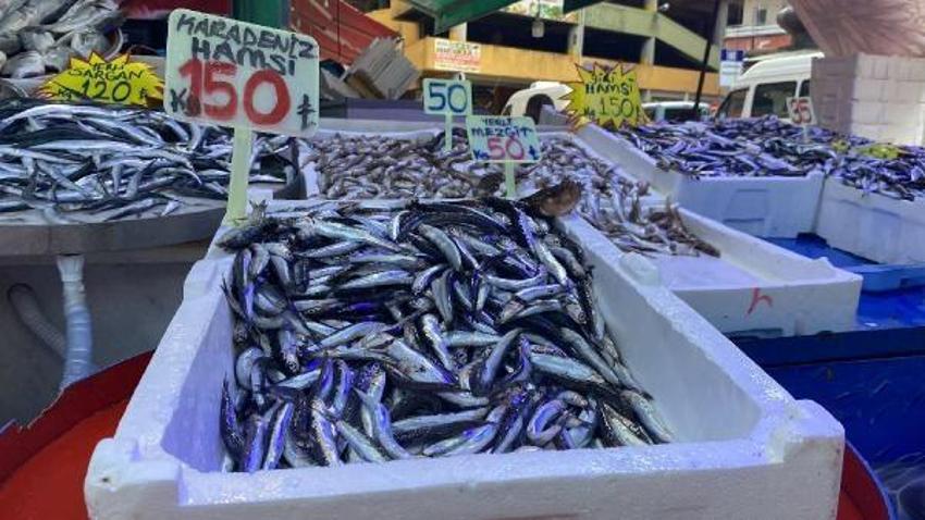 Tezgahlar hamsi ile doldu! Kilo fiyatlarında büyük düşüş oldu