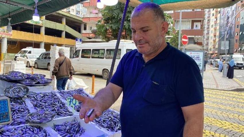 Tezgahlar hamsi ile doldu! Kilo fiyatlarında büyük düşüş oldu