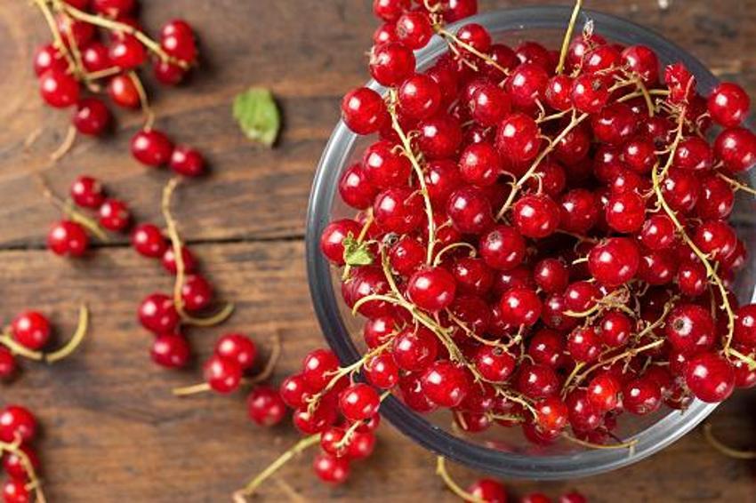Tüketen 10 yaş gençleşiyor! Kan dolaşımını yüzde 45 iyileştiriyor