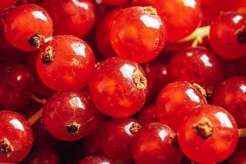 Tüketen 10 yaş gençleşiyor! Kan dolaşımını yüzde 45 iyileştiriyor