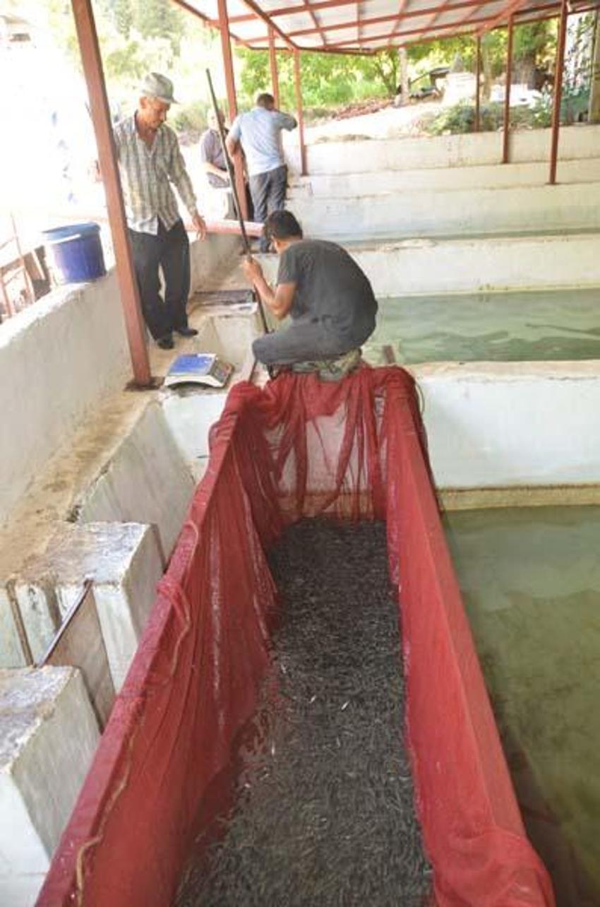 Hobi olarak başladı! Şimdi Türkiye'nin her yerine gönderiyor