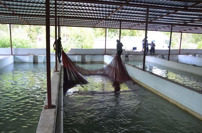 Hobi olarak başladı! Şimdi Türkiye'nin her yerine gönderiyor