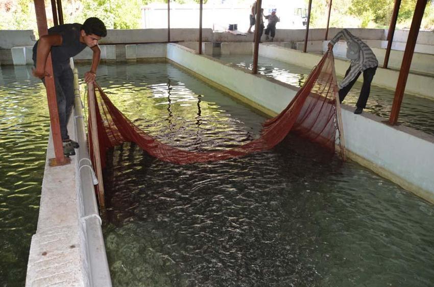 Hobi olarak başladı! Şimdi Türkiye'nin her yerine gönderiyor