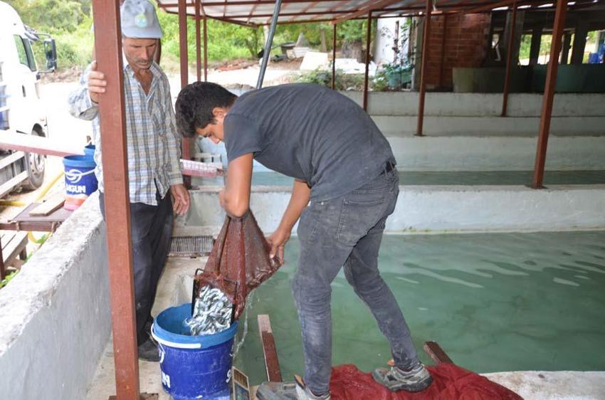 Hobi olarak başladı! Şimdi Türkiye'nin her yerine gönderiyor