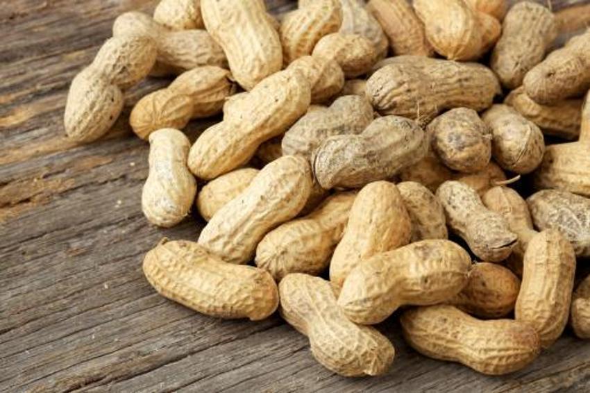 Kilo kontrolü için mucize besinler! Birkaç tane tüketen tüm gün tok kalıyor