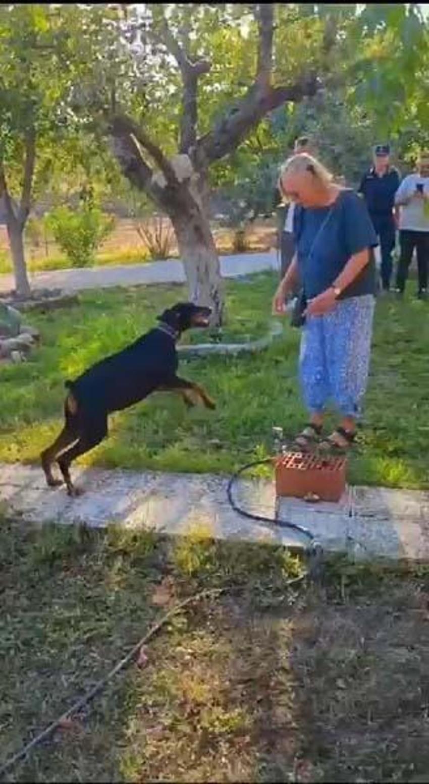 Korhan Berzeg'in kaybolmasıyla ilgili ekiplerden yeni açıklama! "Gizemli bir durum var"