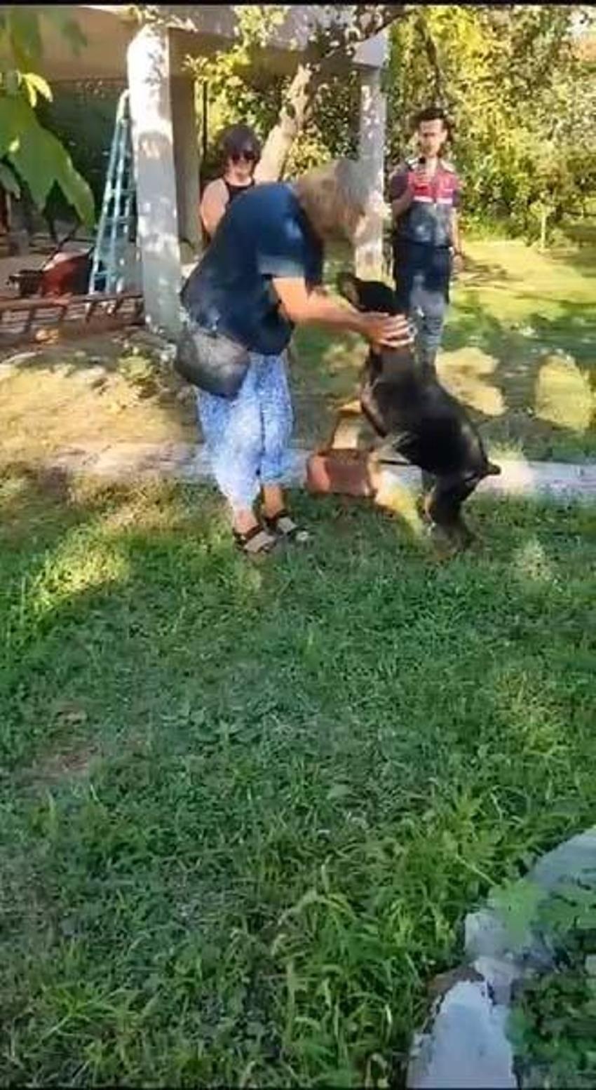 Korhan Berzeg'in kaybolmasıyla ilgili ekiplerden yeni açıklama! "Gizemli bir durum var"
