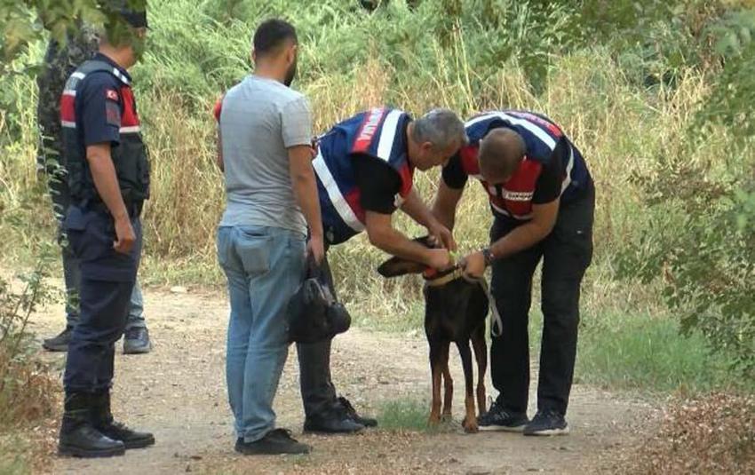 Korhan Berzeg'in kaybolmasıyla ilgili ekiplerden yeni açıklama! "Gizemli bir durum var"