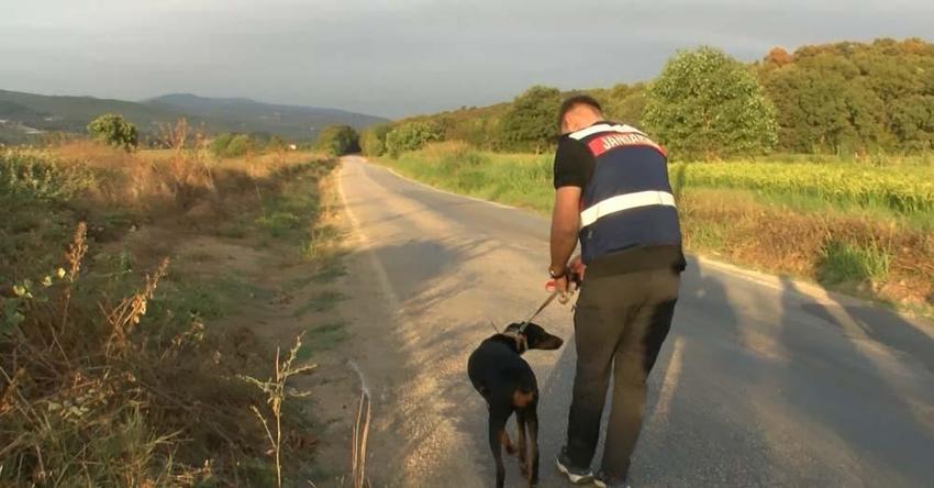 Korhan Berzeg'in kaybolmasıyla ilgili ekiplerden yeni açıklama! "Gizemli bir durum var"