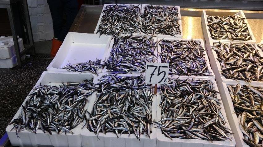Su ürünleri ihracatında 9 ayda 313 milyon dolarlık döviz girdisi! Hamsi fiyatları ne olacak?