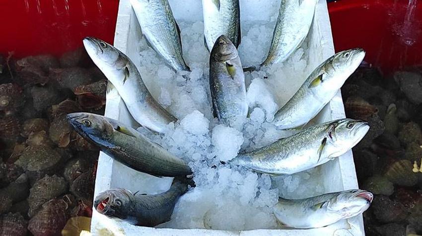 Tezgahlar dolup taştı! Tanesi 200 liradan satılıyor