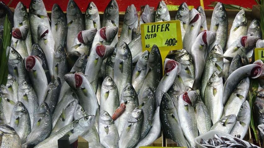 Tezgahlar dolup taştı! Tanesi 200 liradan satılıyor