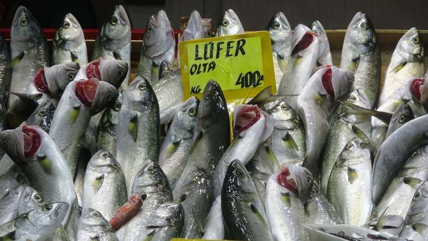 Tezgahlar dolup taştı! Tanesi 200 liradan satılıyor