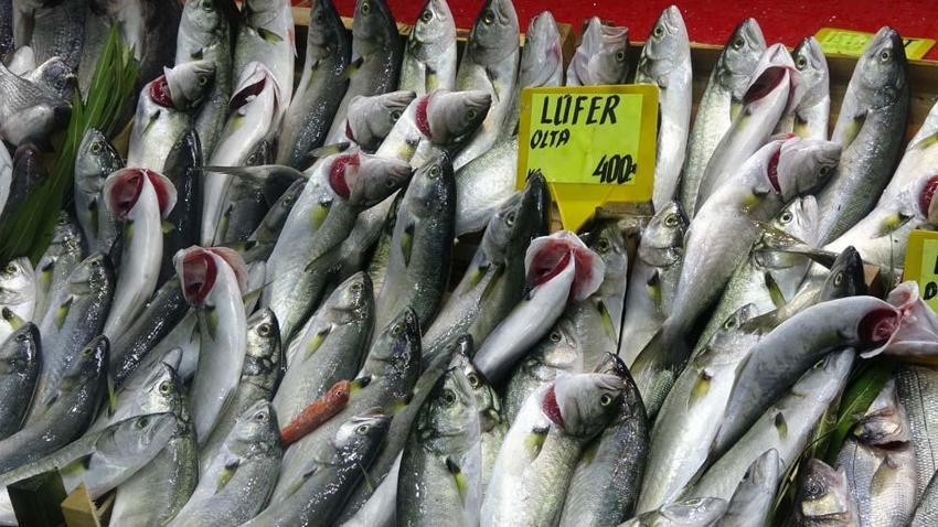 Tezgahlar dolup taştı! Tanesi 200 liradan satılıyor