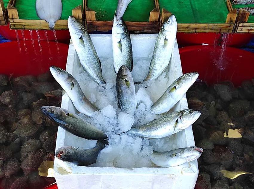 Tezgahlar dolup taştı! Tanesi 200 liradan satılıyor