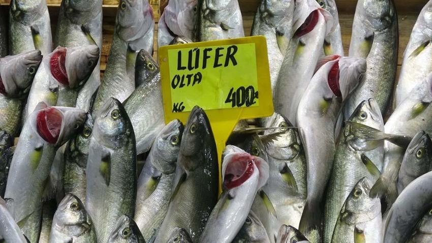 Tezgahlar dolup taştı! Tanesi 200 liradan satılıyor