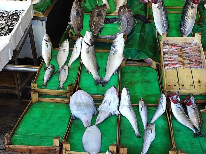 Tezgahlar dolup taştı! Tanesi 200 liradan satılıyor