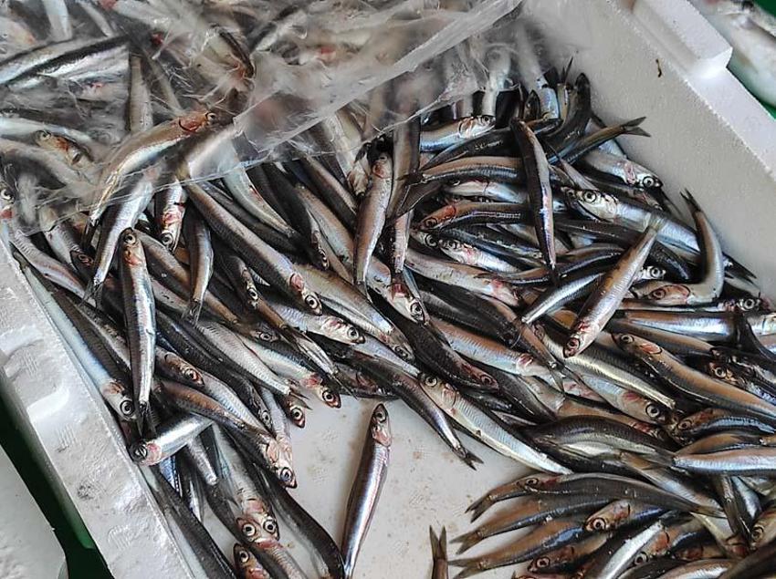 Tezgahlar dolup taştı! Tanesi 200 liradan satılıyor