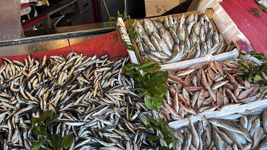 Tezgahlar dolup taştı! Tanesi 200 liradan satılıyor