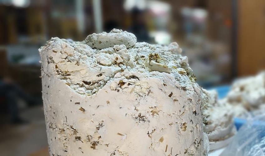 Endemik bitkilerin karışımıyla yapılan Van'ın tescilli lezzeti otlu peynir satışa sunuldu