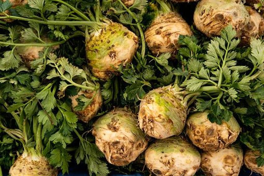 Kansere kalkan oluyor! Haftada bir kez tüketen şifa buluyor