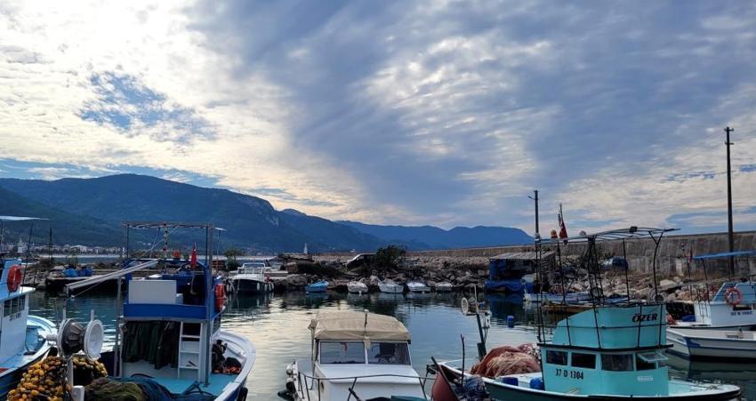 Karadeniz'de büyük tehlike! Deniz suyu sıcaklığı hamsi, palamutu bitirdi