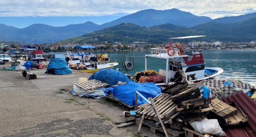 Karadeniz'de büyük tehlike! Deniz suyu sıcaklığı hamsi, palamutu bitirdi