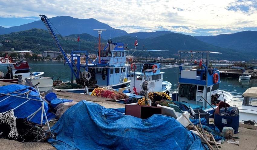 Karadeniz'de büyük tehlike! Deniz suyu sıcaklığı hamsi, palamutu bitirdi