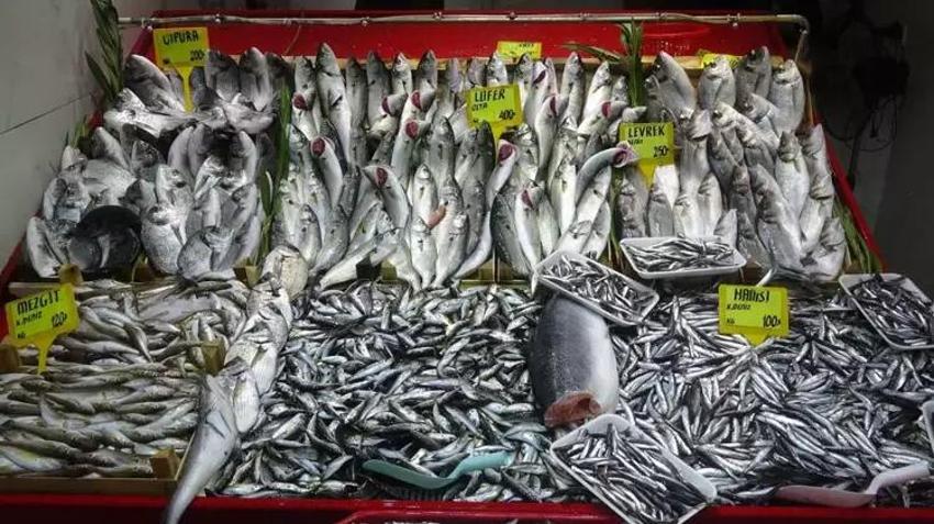 Karadeniz'de büyük tehlike! Deniz suyu sıcaklığı hamsi, palamutu bitirdi